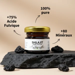 shilajit feel pure