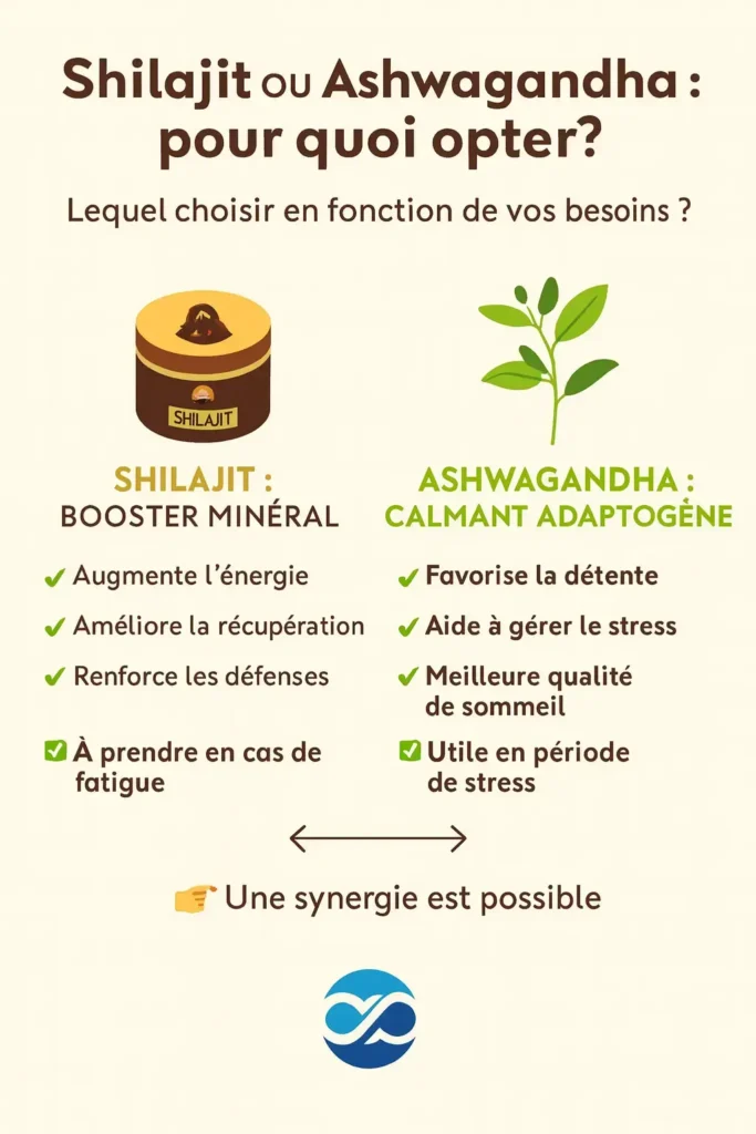Ashwagandha ou shilajit comparatif