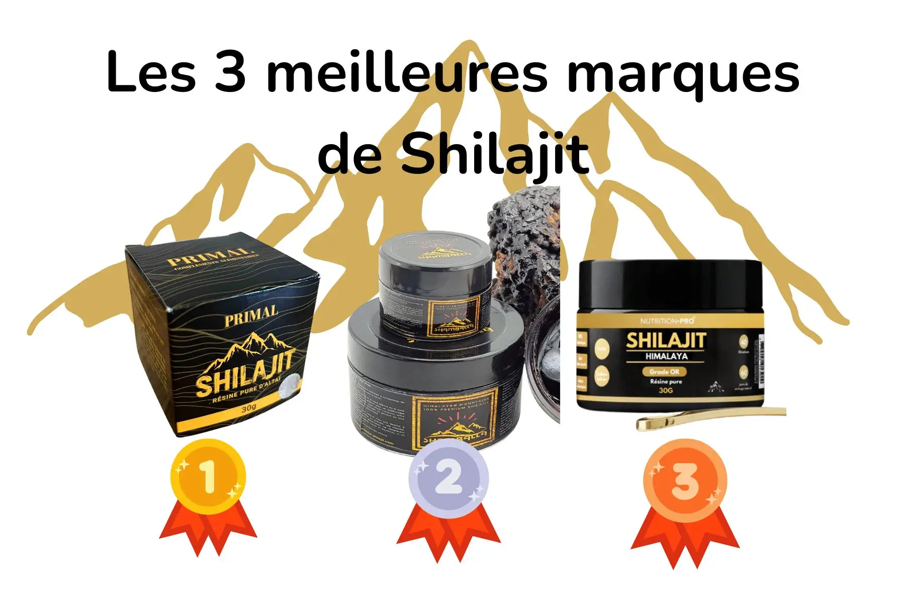 les meilleurs shilajit