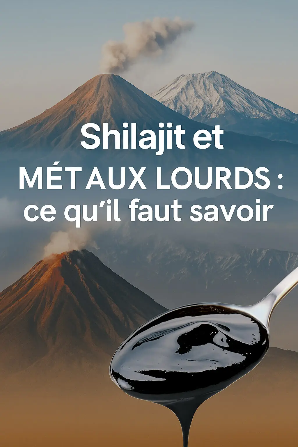 shilajit et métaux lourds