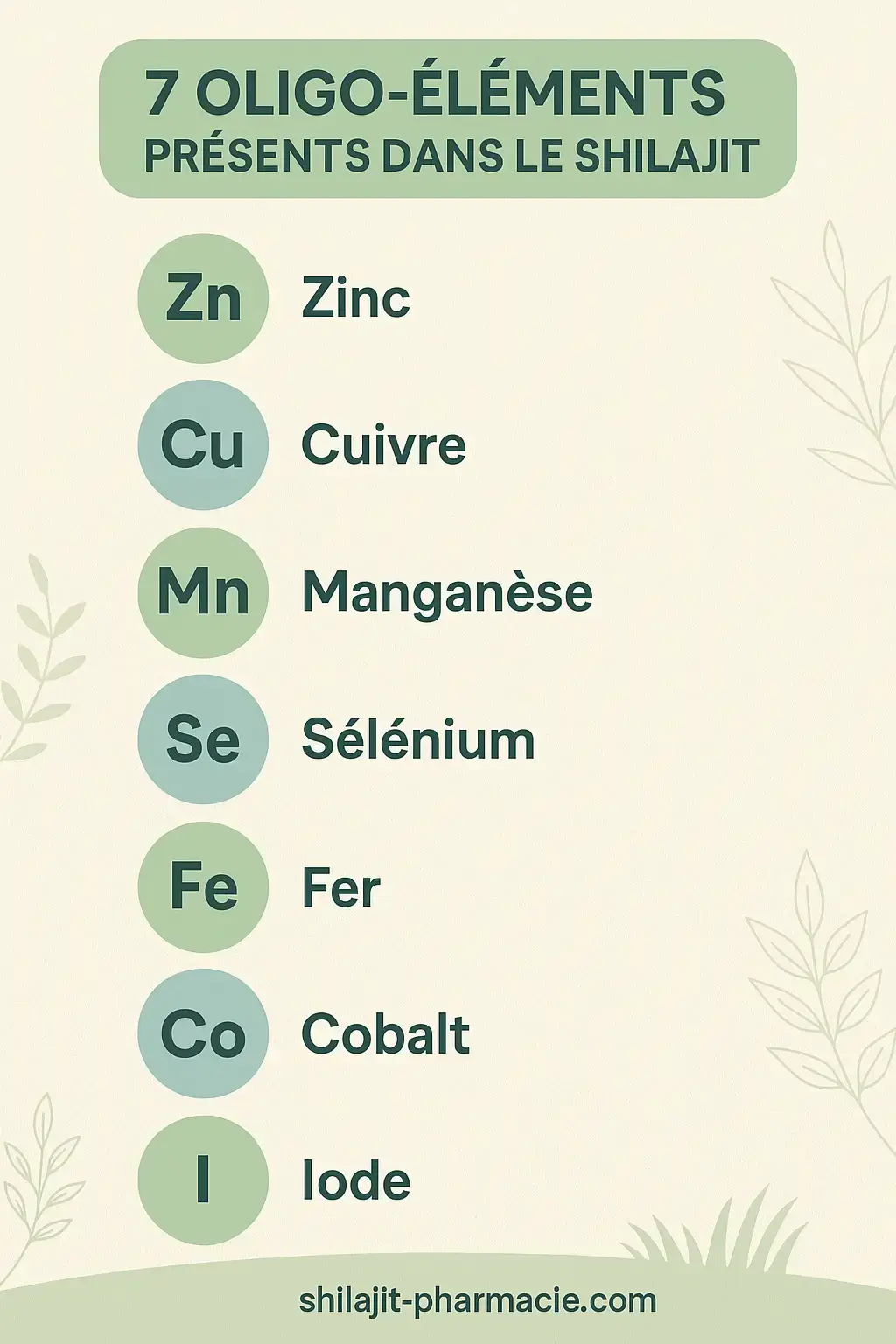 les oligo-elements presents dans le shilajit