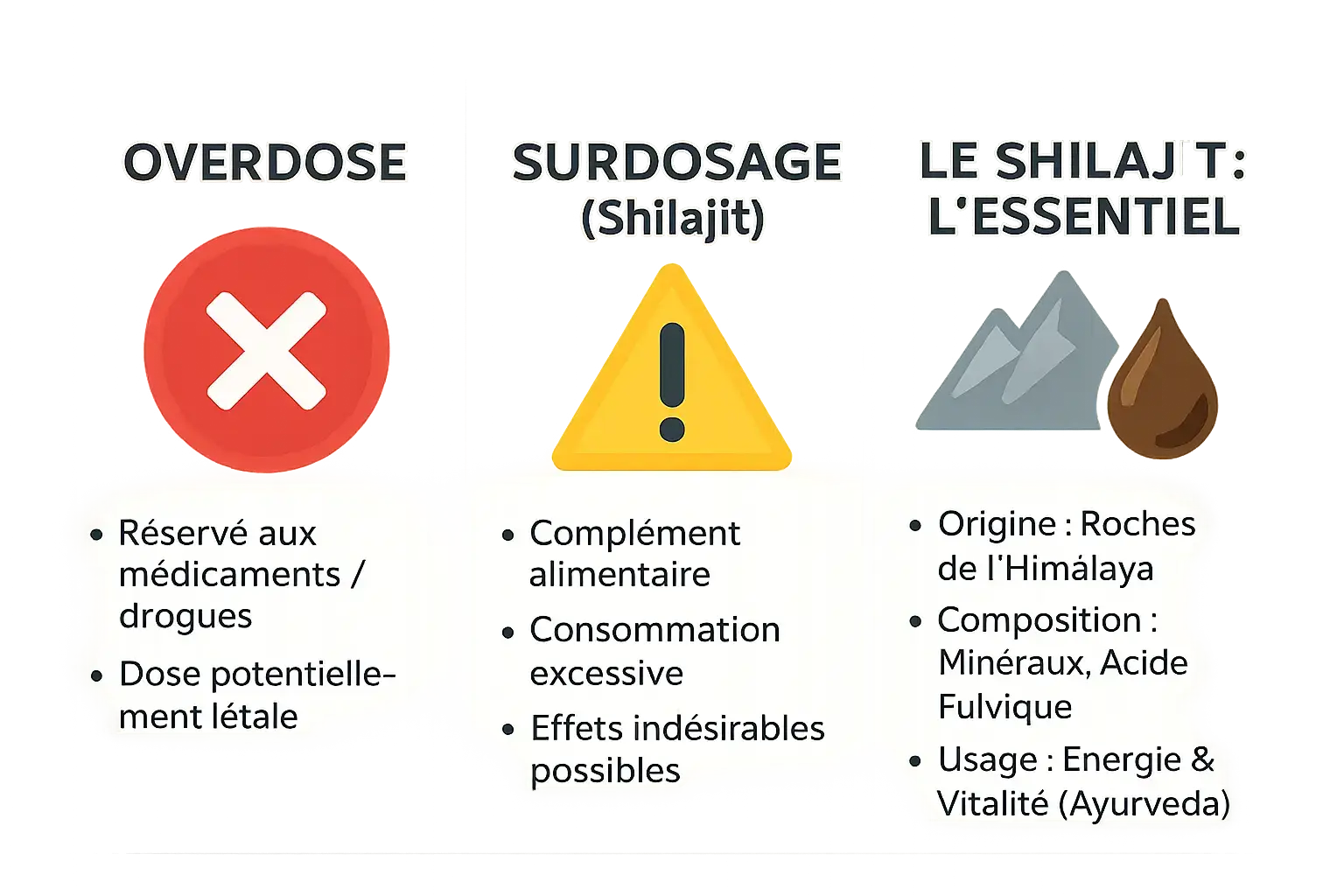 Schéma de la composition du shilajit avec focus sur les minéraux et acide fulvique