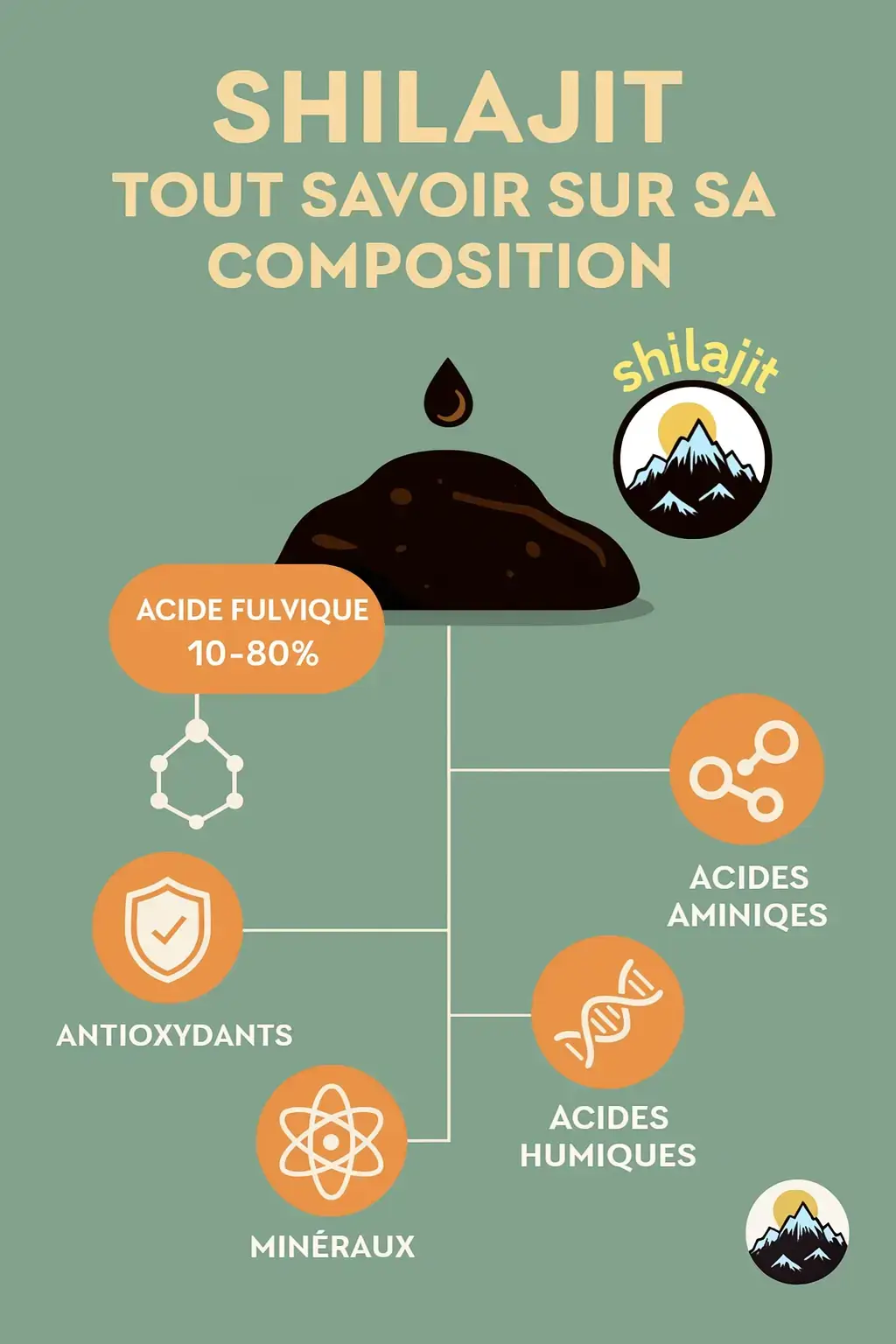 composition du shilajit