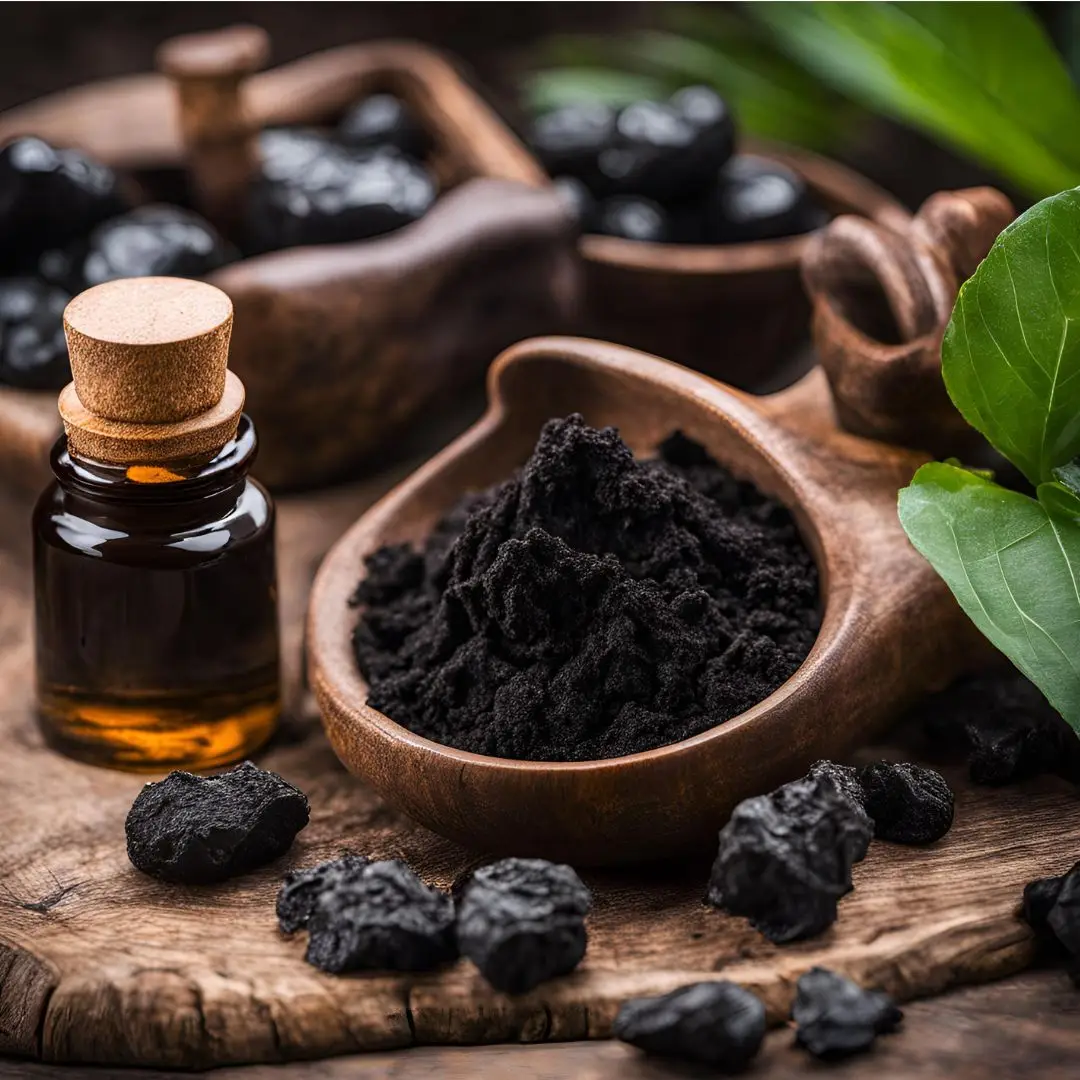 shilajit et acide fulvique - alliance naturelle