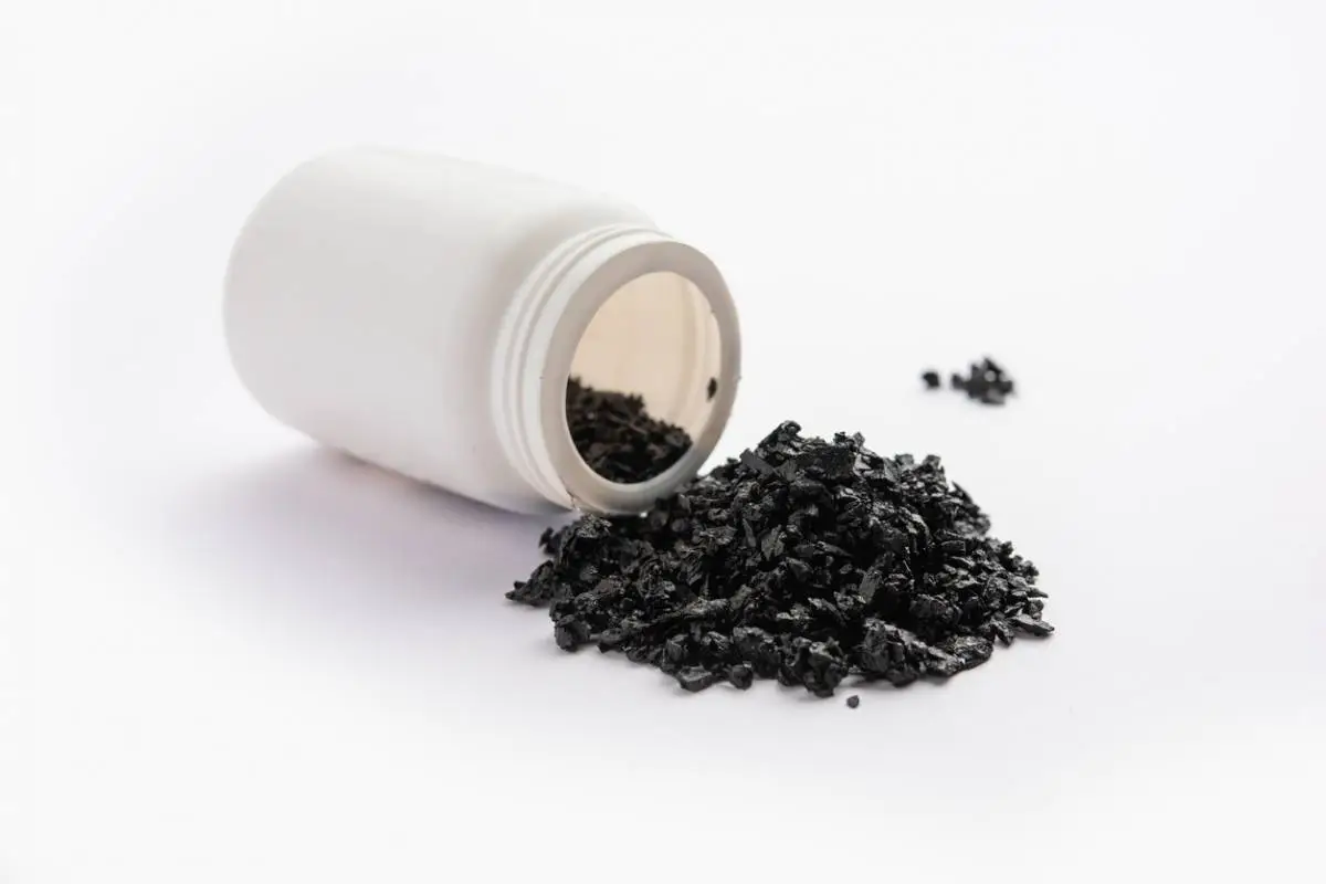 shilajit en poudre